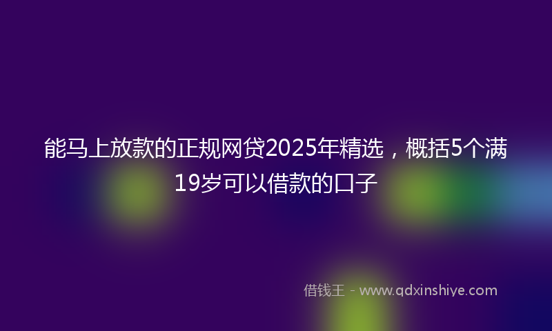 能马上放款的正规网贷2025年精选，概括5个满19岁可以借款的口子