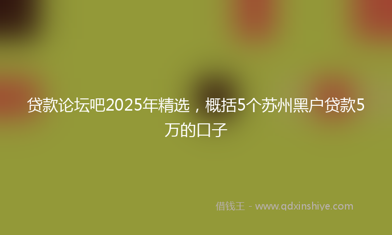 贷款论坛吧2025年精选，概括5个苏州黑户贷款5万的口子