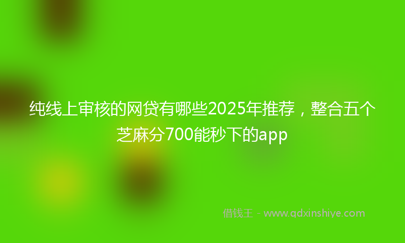纯线上审核的网贷有哪些2025年推荐，整合五个芝麻分700能秒下的app