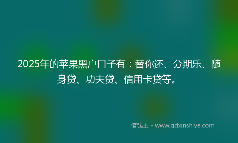 2025年的苹果黑户口子有：替你还、分期乐、随身贷、功夫贷、信用卡贷等。