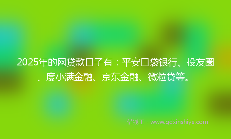 2025年的网贷款口子有：平安口袋银行、投友圈、度小满金融、京东金融、微粒贷等。