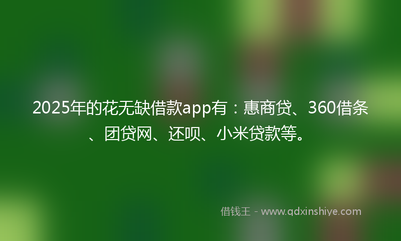 2025年的花无缺借款app有：惠商贷、360借条、团贷网、还呗、小米贷款等。