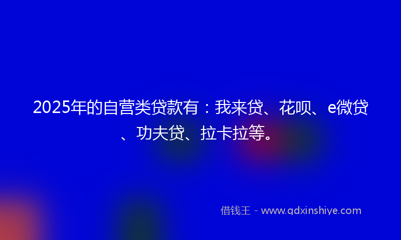 2025年的自营类贷款有：我来贷、花呗、e微贷、功夫贷、拉卡拉等。