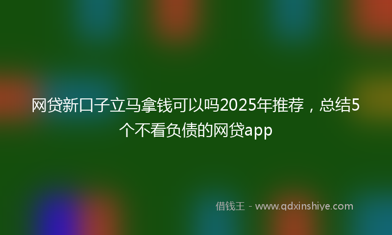 网贷新口子立马拿钱可以吗2025年推荐，总结5个不看负债的网贷app