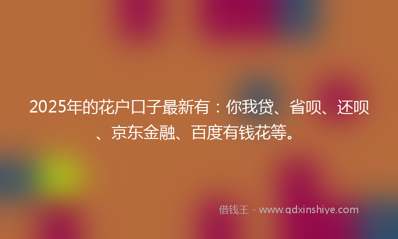 2025年的花户口子最新有：你我贷、省呗、还呗、京东金融、百度有钱花等。