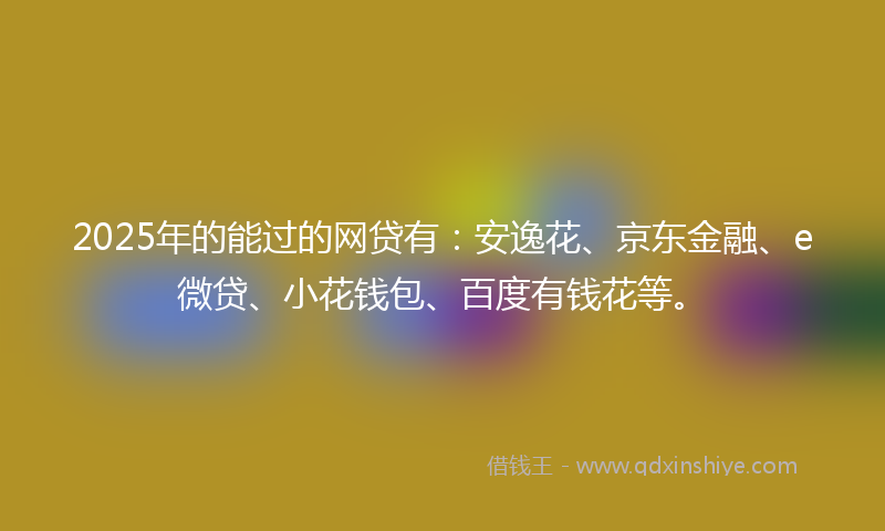 2025年的能过的网贷有：安逸花、京东金融、e微贷、小花钱包、百度有钱花等。