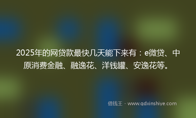 2025年的网贷款最快几天能下来有：e微贷、中原消费金融、融逸花、洋钱罐、安逸花等。