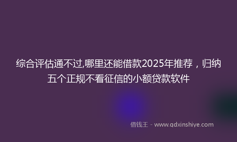 综合评估通不过,哪里还能借款2025年推荐，归纳五个正规不看征信的小额贷款软件
