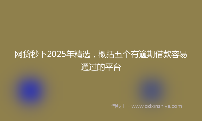 网贷秒下2025年精选，概括五个有逾期借款容易通过的平台