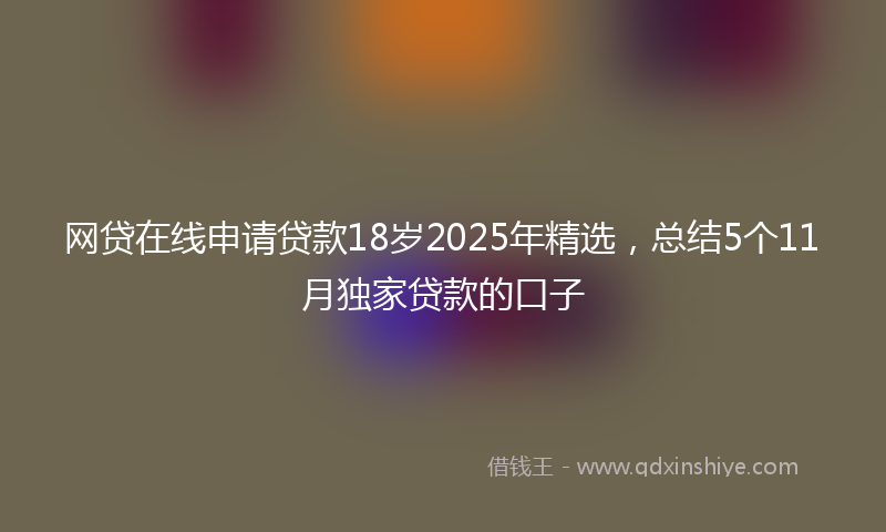 网贷在线申请贷款18岁2025年精选，总结5个11月独家贷款的口子