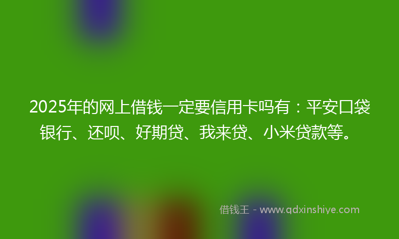 2025年的网上借钱一定要信用卡吗有：平安口袋银行、还呗、好期贷、我来贷、小米贷款等。