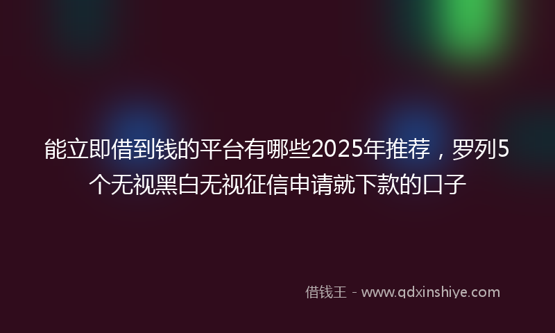 能立即借到钱的平台有哪些2025年推荐，罗列5个无视黑白无视征信申请就下款的口子
