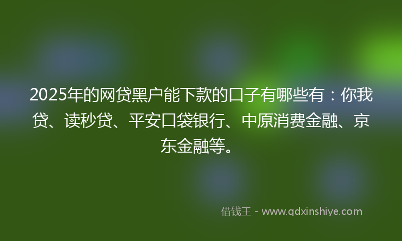 2025年的网贷黑户能下款的口子有哪些有：你我贷、读秒贷、平安口袋银行、中原消费金融、京东金融等。