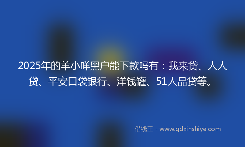 2025年的羊小咩黑户能下款吗有：我来贷、人人贷、平安口袋银行、洋钱罐、51人品贷等。