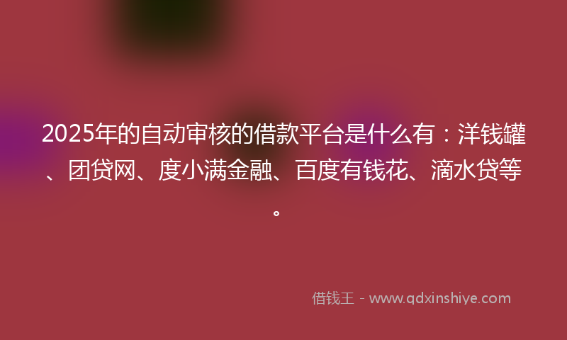 2025年的自动审核的借款平台是什么有：洋钱罐、团贷网、度小满金融、百度有钱花、滴水贷等。