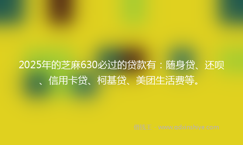 2025年的芝麻630必过的贷款有：随身贷、还呗、信用卡贷、柯基贷、美团生活费等。