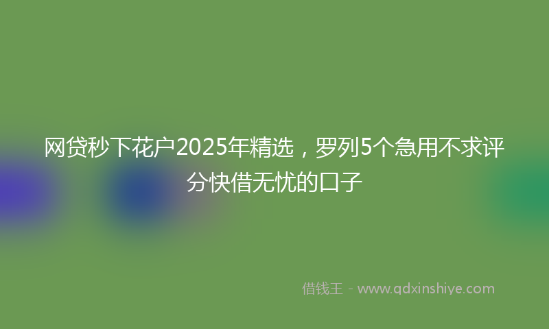 网贷秒下花户2025年精选，罗列5个急用不求评分快借无忧的口子