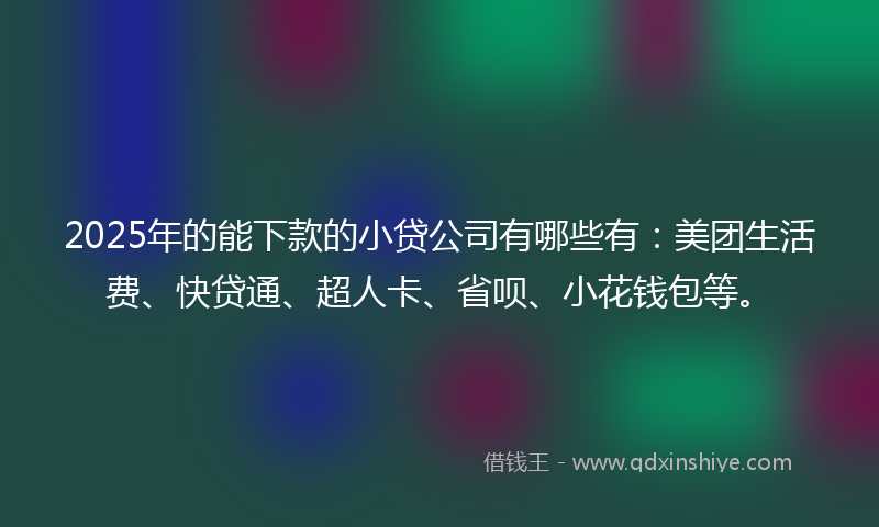 2025年的能下款的小贷公司有哪些有：美团生活费、快贷通、超人卡、省呗、小花钱包等。