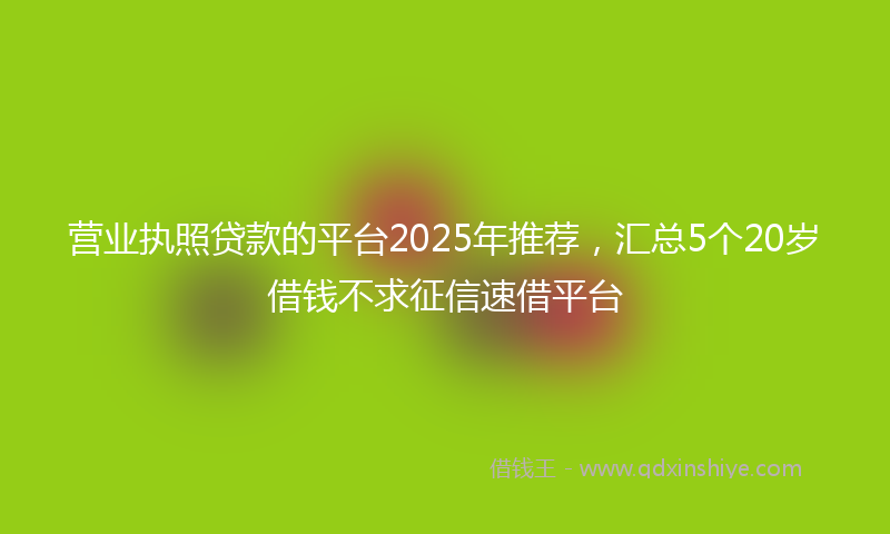 营业执照贷款的平台2025年推荐，汇总5个20岁借钱不求征信速借平台