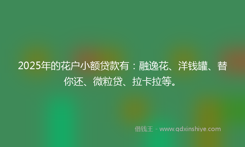 2025年的花户小额贷款有：融逸花、洋钱罐、替你还、微粒贷、拉卡拉等。