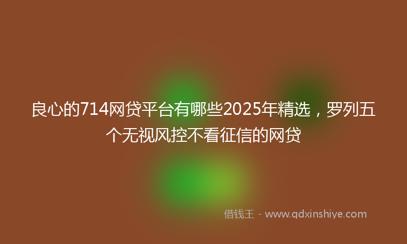 良心的714网贷平台有哪些2025年精选，罗列五个无视风控不看征信的网贷