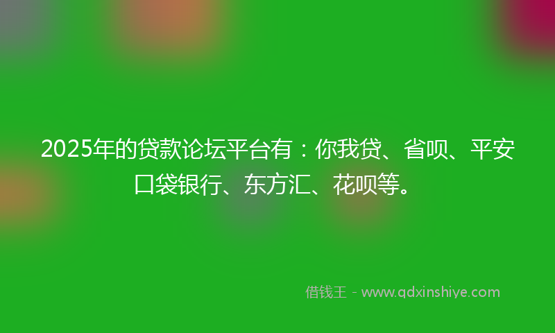 2025年的贷款论坛平台有：你我贷、省呗、平安口袋银行、东方汇、花呗等。