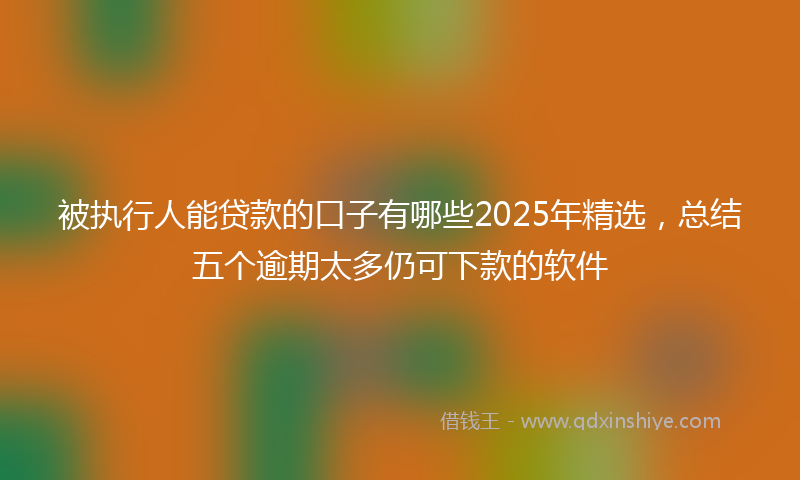 被执行人能贷款的口子有哪些2025年精选，总结五个逾期太多仍可下款的软件