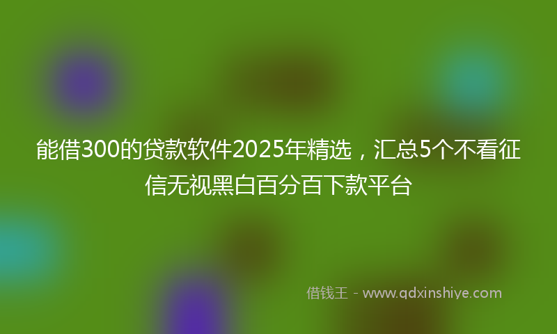 能借300的贷款软件2025年精选，汇总5个不看征信无视黑白百分百下款平台