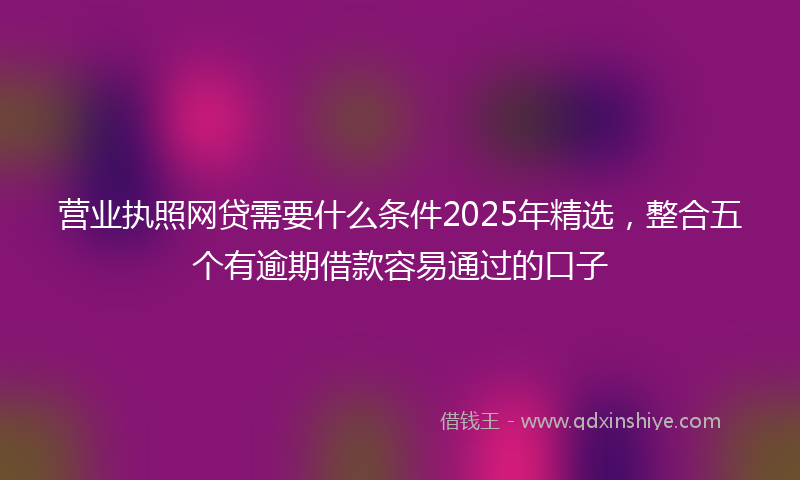 营业执照网贷需要什么条件2025年精选，整合五个有逾期借款容易通过的口子
