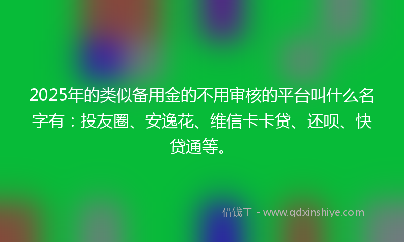 2025年的类似备用金的不用审核的平台叫什么名字有：投友圈、安逸花、维信卡卡贷、还呗、快贷通等。