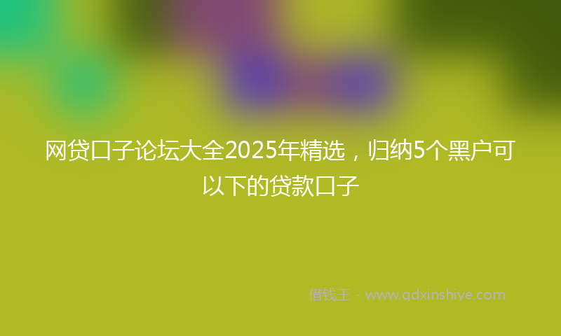 网贷口子论坛大全2025年精选，归纳5个黑户可以下的贷款口子