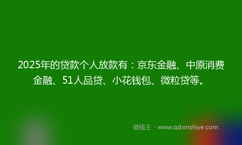 2025年的贷款个人放款有：京东金融、中原消费金融、51人品贷、小花钱包、微粒贷等。