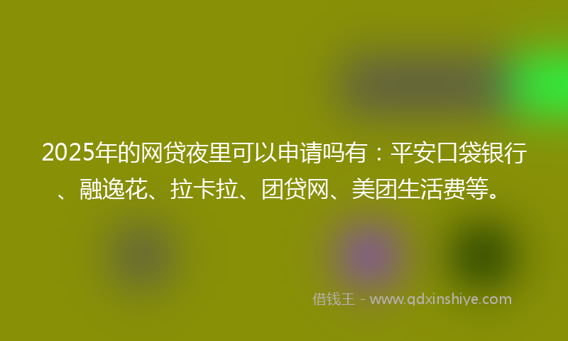 2025年的网贷夜里可以申请吗有：平安口袋银行、融逸花、拉卡拉、团贷网、美团生活费等。