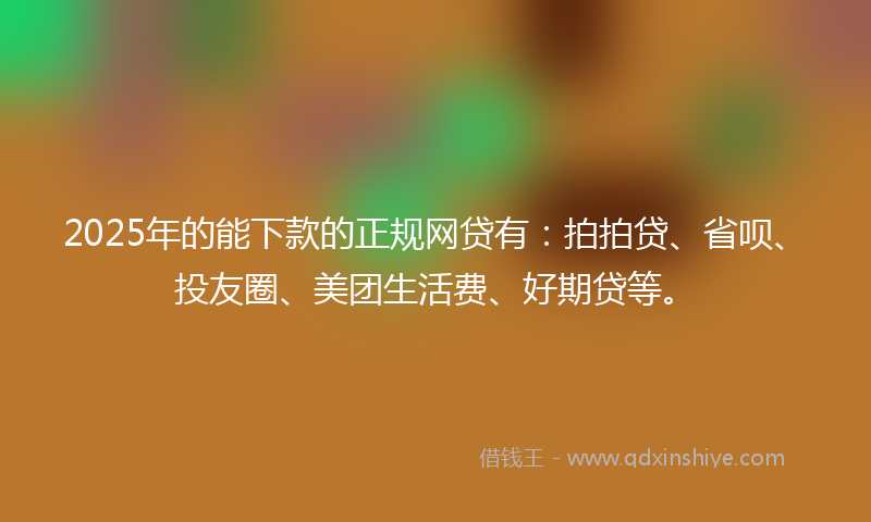 2025年的能下款的正规网贷有：拍拍贷、省呗、投友圈、美团生活费、好期贷等。
