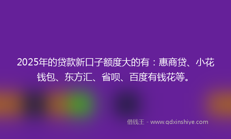 2025年的贷款新口子额度大的有：惠商贷、小花钱包、东方汇、省呗、百度有钱花等。