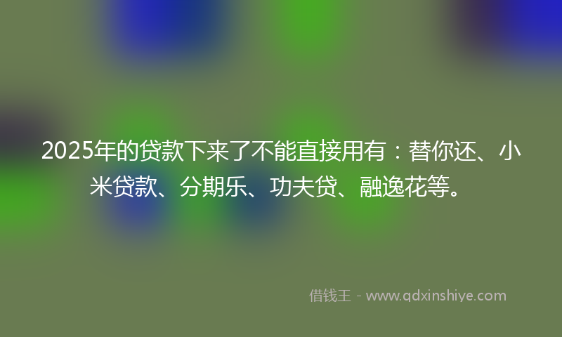 2025年的贷款下来了不能直接用有：替你还、小米贷款、分期乐、功夫贷、融逸花等。