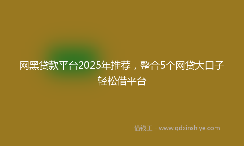 网黑贷款平台2025年推荐，整合5个网贷大口子轻松借平台