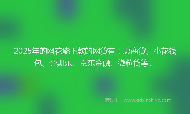 2025年的网花能下款的网贷有：惠商贷、小花钱包、分期乐、京东金融、微粒贷等。