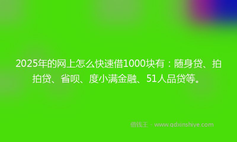2025年的网上怎么快速借1000块有：随身贷、拍拍贷、省呗、度小满金融、51人品贷等。
