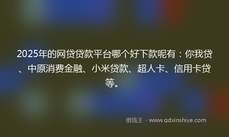 2025年的网贷贷款平台哪个好下款呢有：你我贷、中原消费金融、小米贷款、超人卡、信用卡贷等。