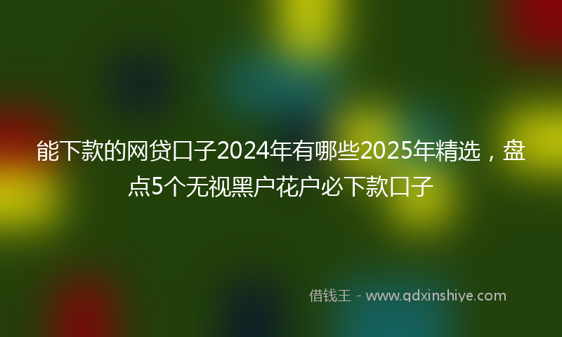能下款的网贷口子2024年有哪些2025年精选，盘点5个无视黑户花户必下款口子