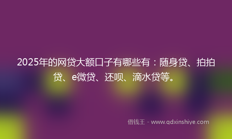 2025年的网贷大额口子有哪些有：随身贷、拍拍贷、e微贷、还呗、滴水贷等。