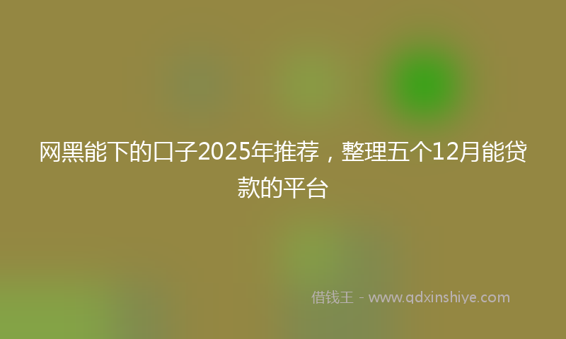 网黑能下的口子2025年推荐，整理五个12月能贷款的平台