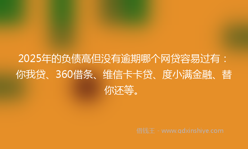 2025年的负债高但没有逾期哪个网贷容易过有：你我贷、360借条、维信卡卡贷、度小满金融、替你还等。