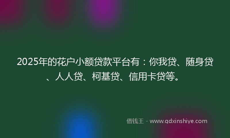 2025年的花户小额贷款平台有：你我贷、随身贷、人人贷、柯基贷、信用卡贷等。