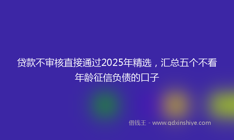 贷款不审核直接通过2025年精选，汇总五个不看年龄征信负债的口子