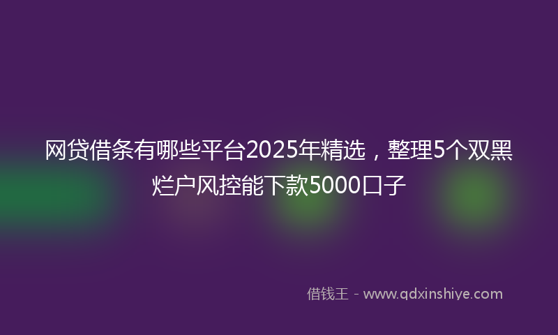 网贷借条有哪些平台2025年精选，整理5个双黑烂户风控能下款5000口子