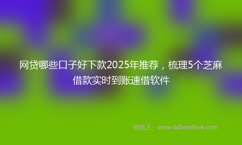 网贷哪些口子好下款2025年推荐，梳理5个芝麻借款实时到账速借软件