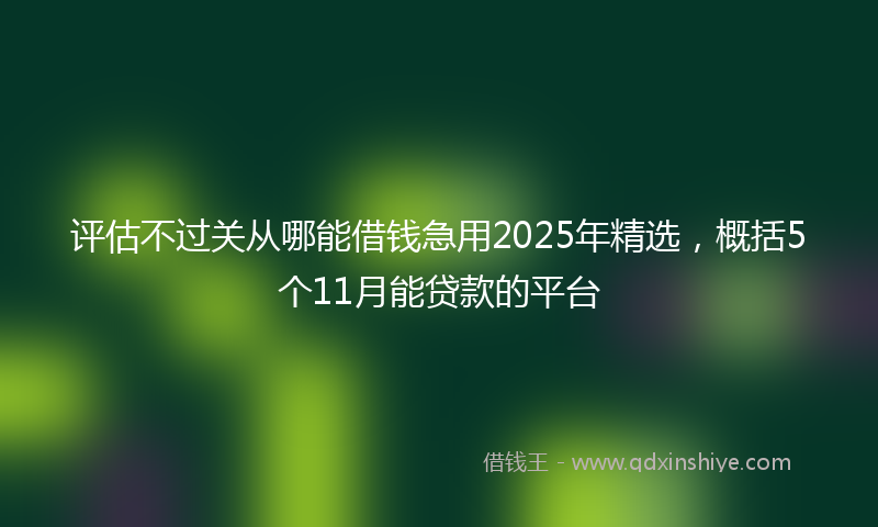 评估不过关从哪能借钱急用2025年精选，概括5个11月能贷款的平台
