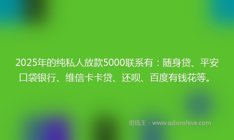 2025年的纯私人放款5000联系有：随身贷、平安口袋银行、维信卡卡贷、还呗、百度有钱花等。
